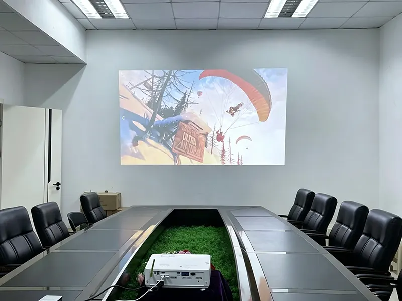 conference room-projector 2